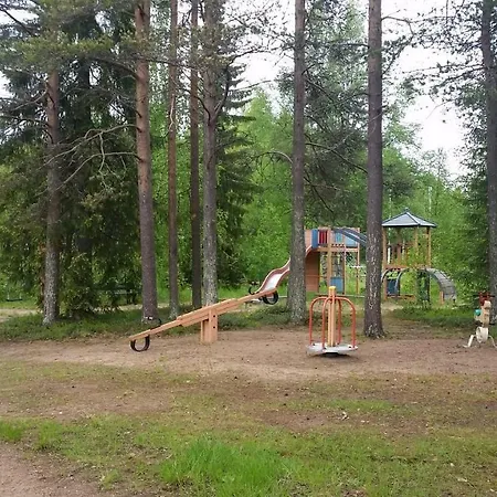 Log Holiday home *