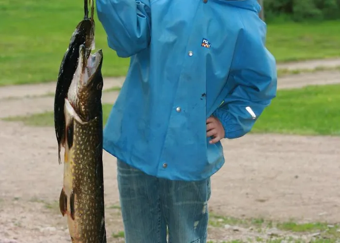 Log Prázdninový dům Korvala