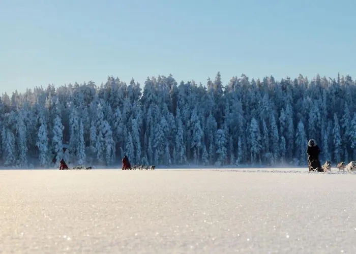 Ferienhaus Log Korvala